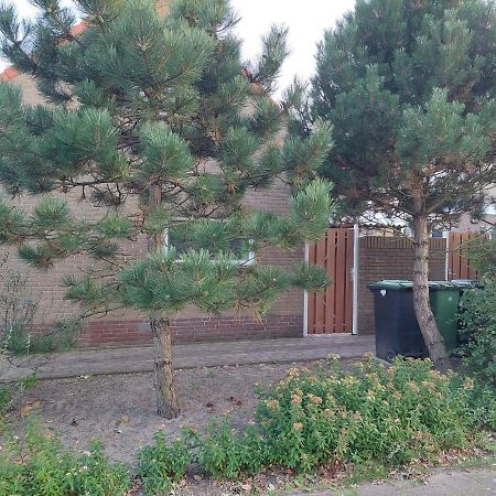 Zomerhuis Simoons Egmond aan Zee Ngoại thất bức ảnh