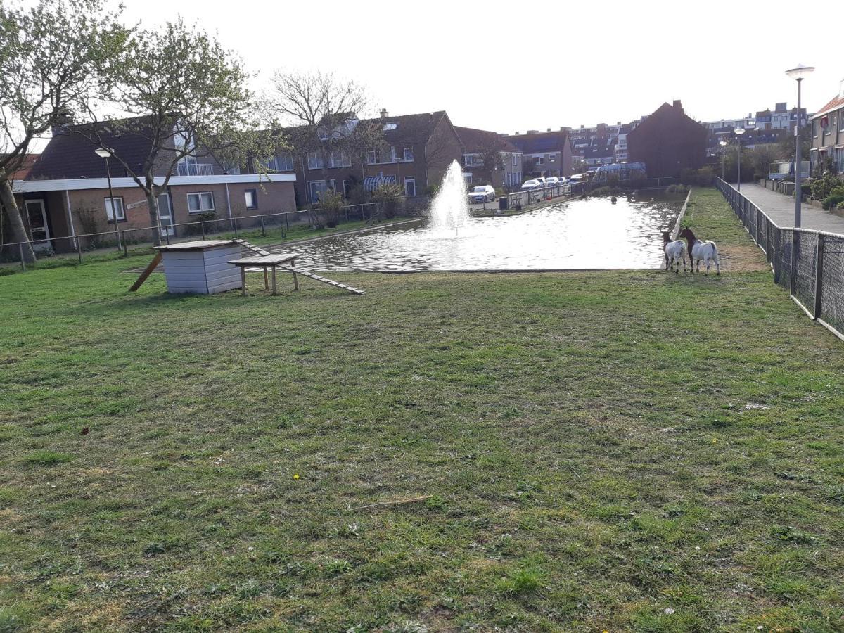 Zomerhuis Simoons Egmond aan Zee Ngoại thất bức ảnh