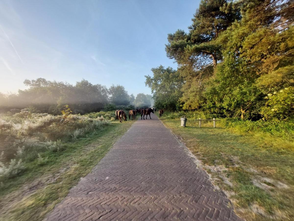 Zomerhuis Simoons Egmond aan Zee Ngoại thất bức ảnh